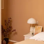 Casa Cerin